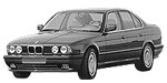 BMW E34 P318C Fault Code