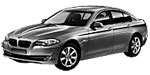 BMW F10 P318C Fault Code